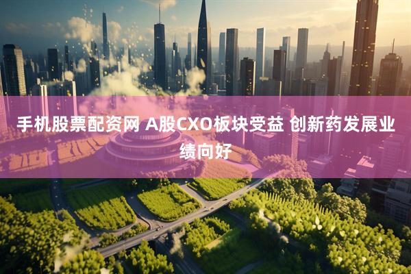 手机股票配资网 A股CXO板块受益 创新药发展业绩向好